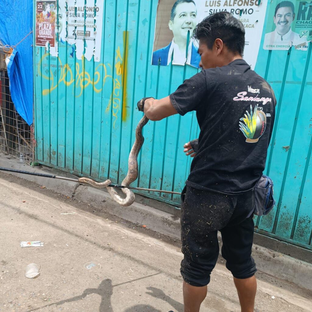 Mercados